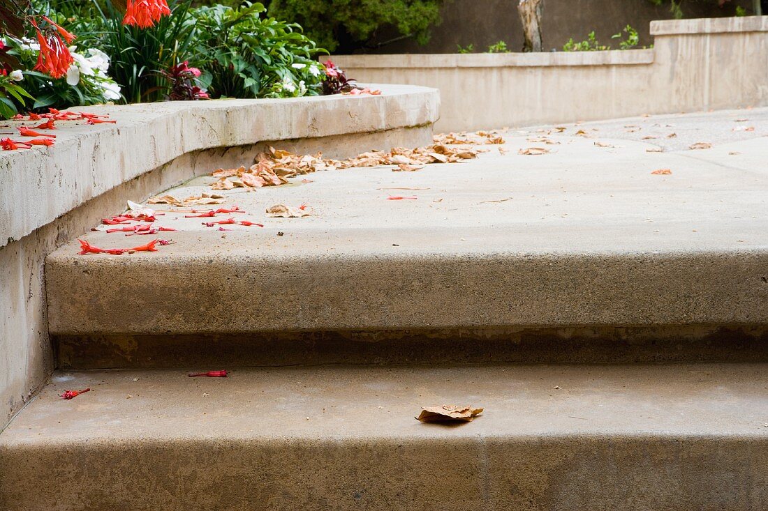 Low perspective of cement steps and debris.