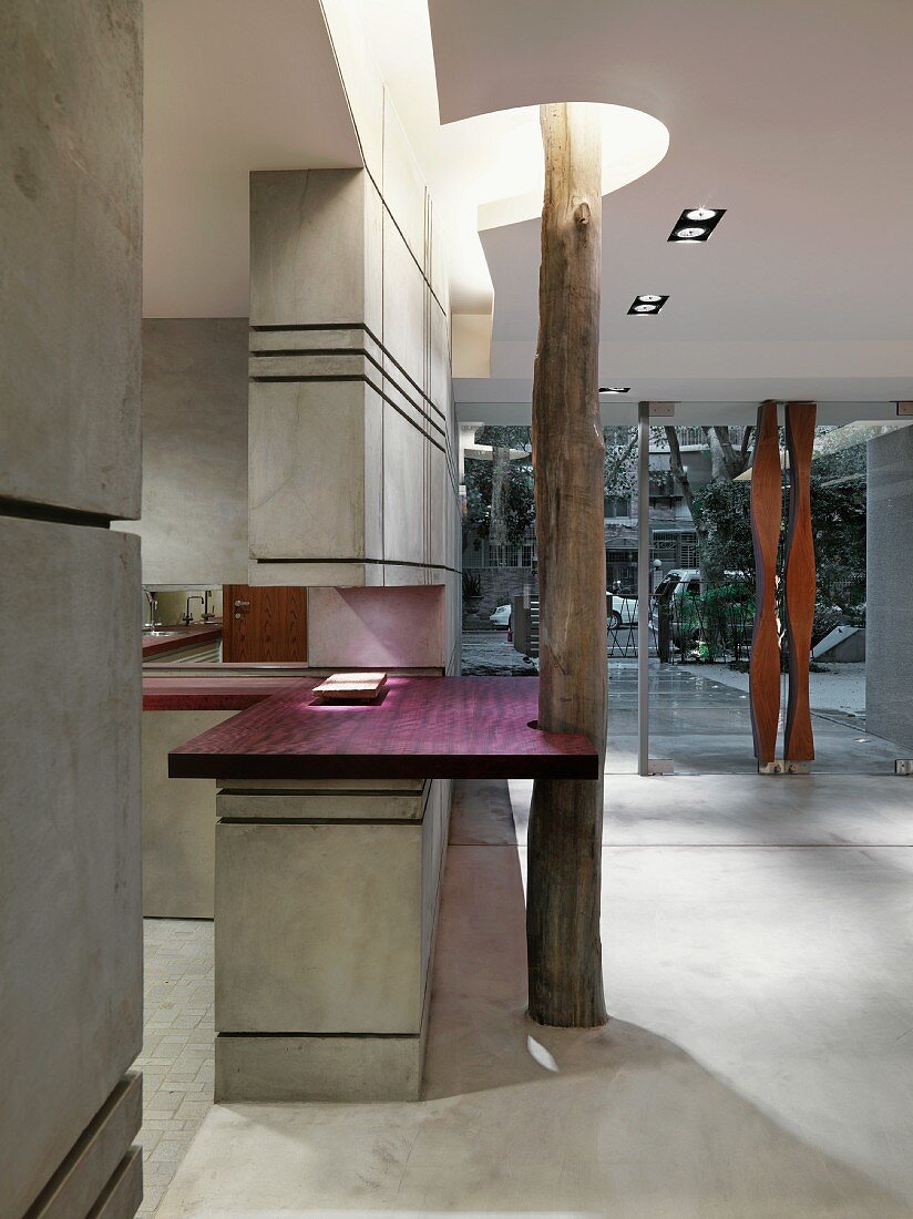 Moderne Eingangshalle mit Betonwänden und -böden und integriertem Baumstamm