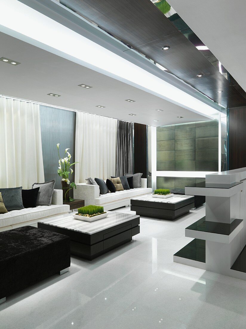 Modernes Wohnzimmer in Grau, Schwarz und Weiß mit linearer Möbelandordnung