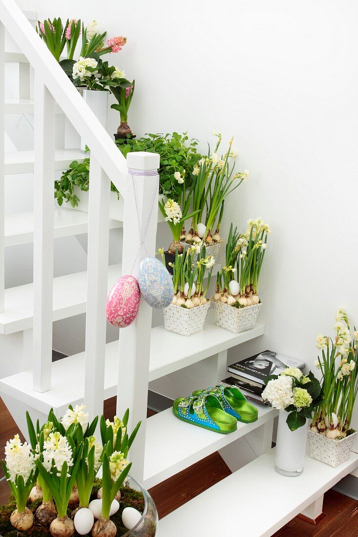 White wooden staircase decorated for Easter with many pots of flowering narcissus and hyacinths and egg ornaments