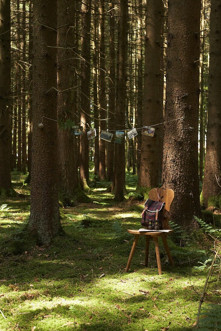 Kleine Lichtung im Wald mit Holzstuhl vor Baum, oberhalb an Bäumen Leine mit aufgehängten Postkarten