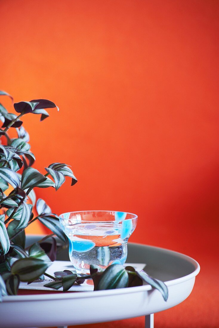 Tabletttisch mit Zimmerpflanze und Glas vor orangefarbener Wand