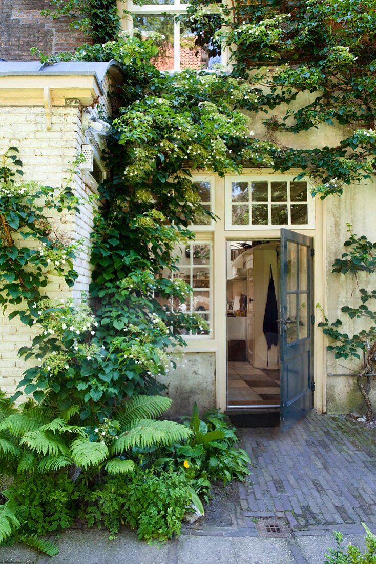 Farn und Kletterpflanze an traditionellem Wohnhaus mit offener Tür