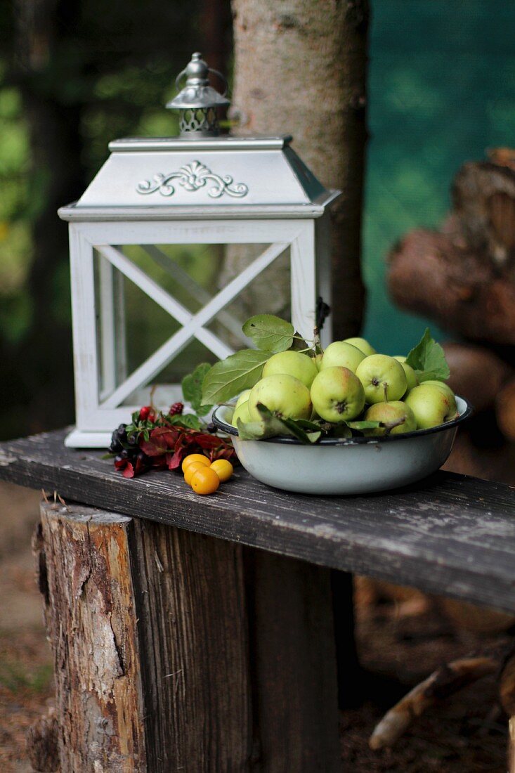 Äpfel mit Laterne auf Holzbank im Garten