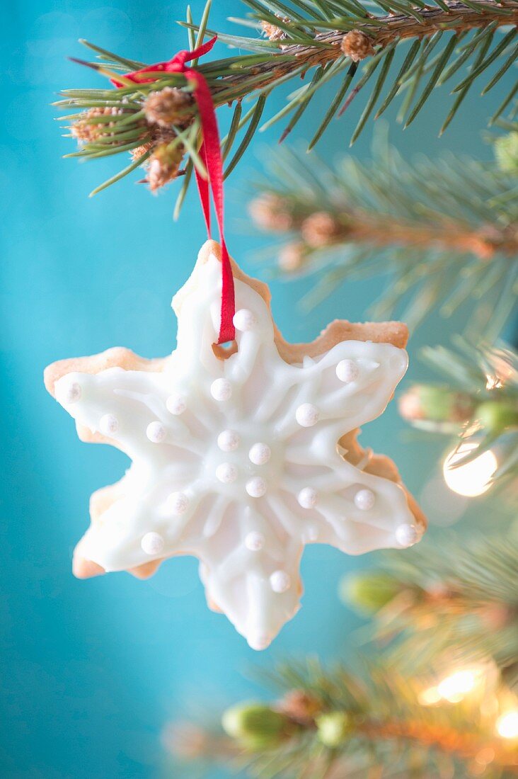 Iced biscuit used as Christmas tree decoration