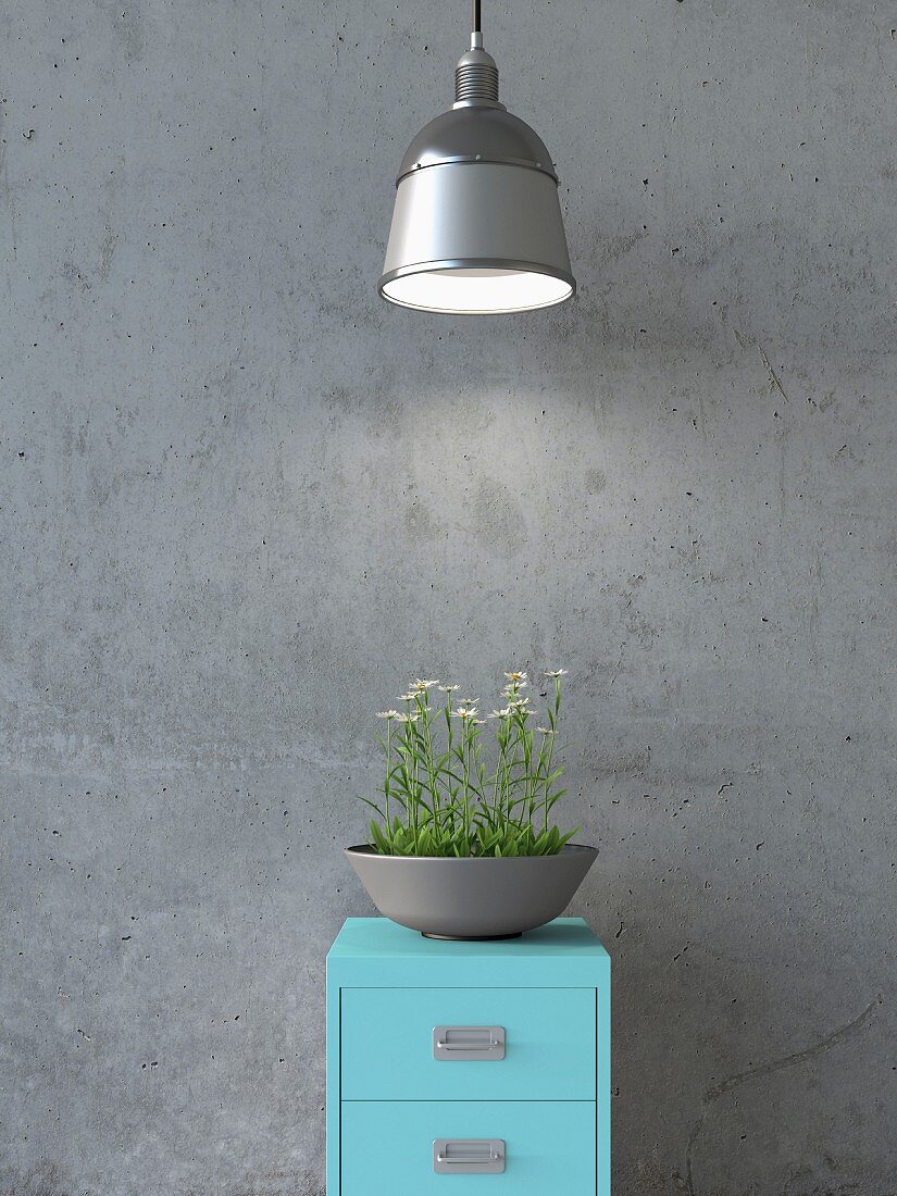 Bowl of daisies on steel cabinet below industrial lamp against grey concrete wall