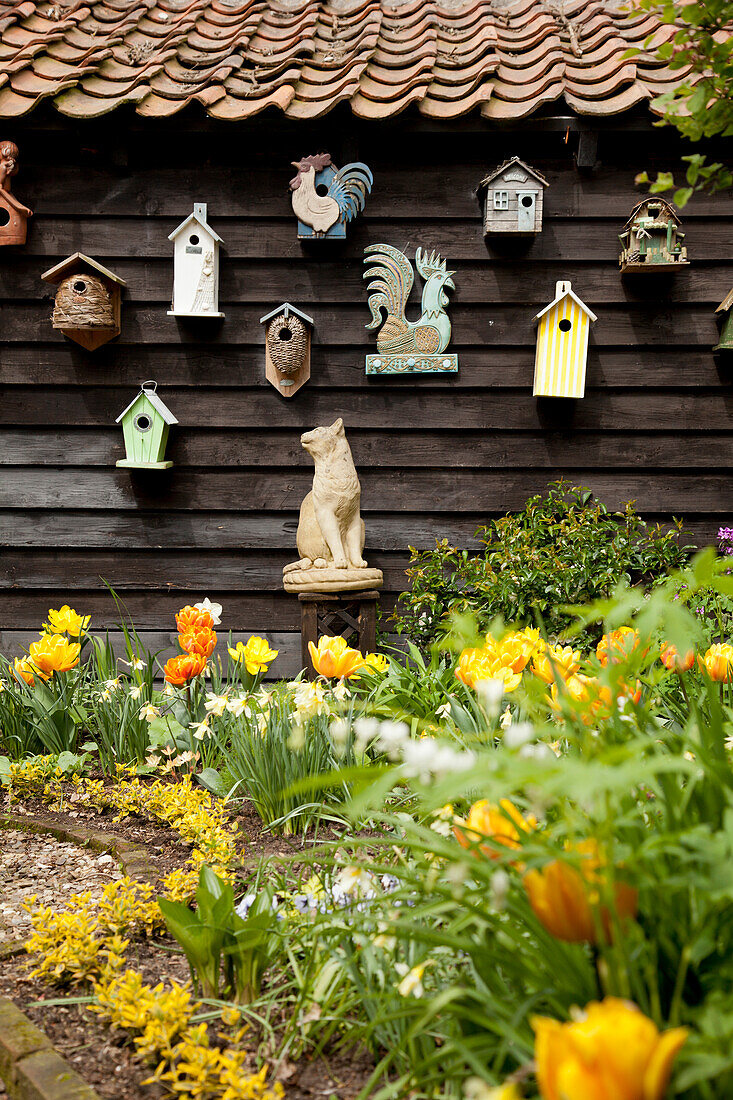 Gelb blühende Tulpen im Garten, im Hintergrund aufgehängten Nistkästchen und Deko-Tierfiguren an Holzwand