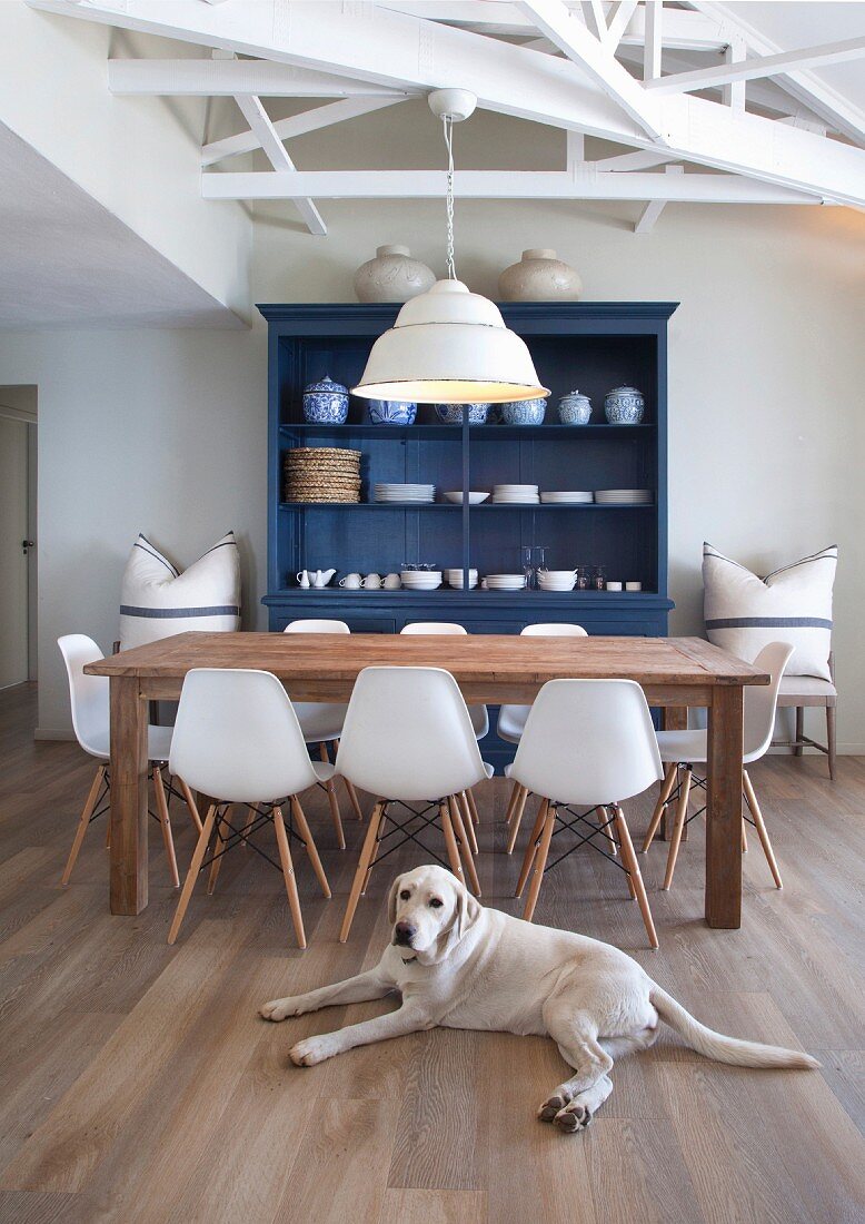 Holztisch mit weißen Eames Chairs und blau lackiertem Geschirrschrank in renoviertem Landhausambiente mit Labrador