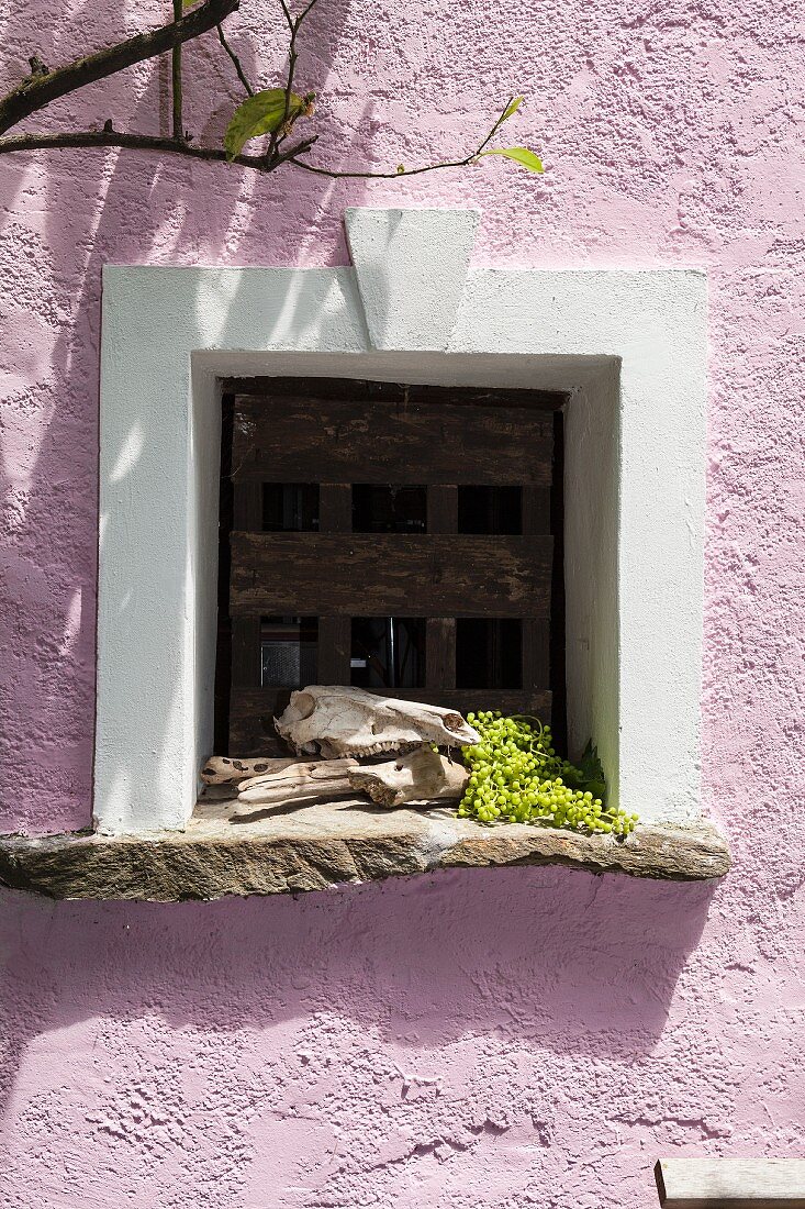 Hellviolette Fassade mit weisser Fenster-Fasche, Naturstein-Fensterbank mit Tierschädel und Trauben