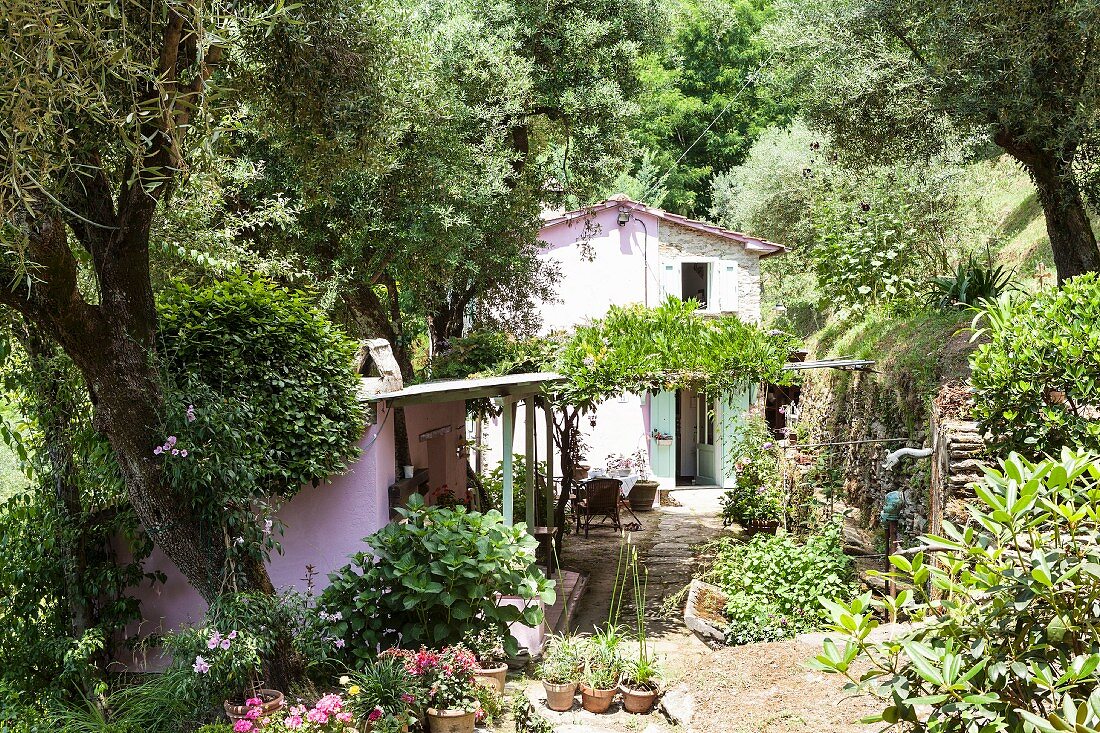 Sommerlicher Garten mit verstecktem Gartenhäuschen und berankter Pergola, im Hintergrund Landhaus