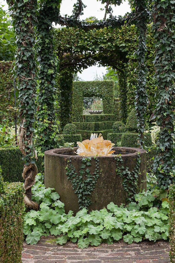 Lady's' mantle around fountain under ivy-covered pavilion