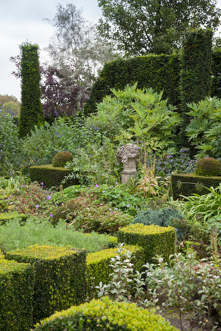 Juxtaposition of topiary and informal planting in garden