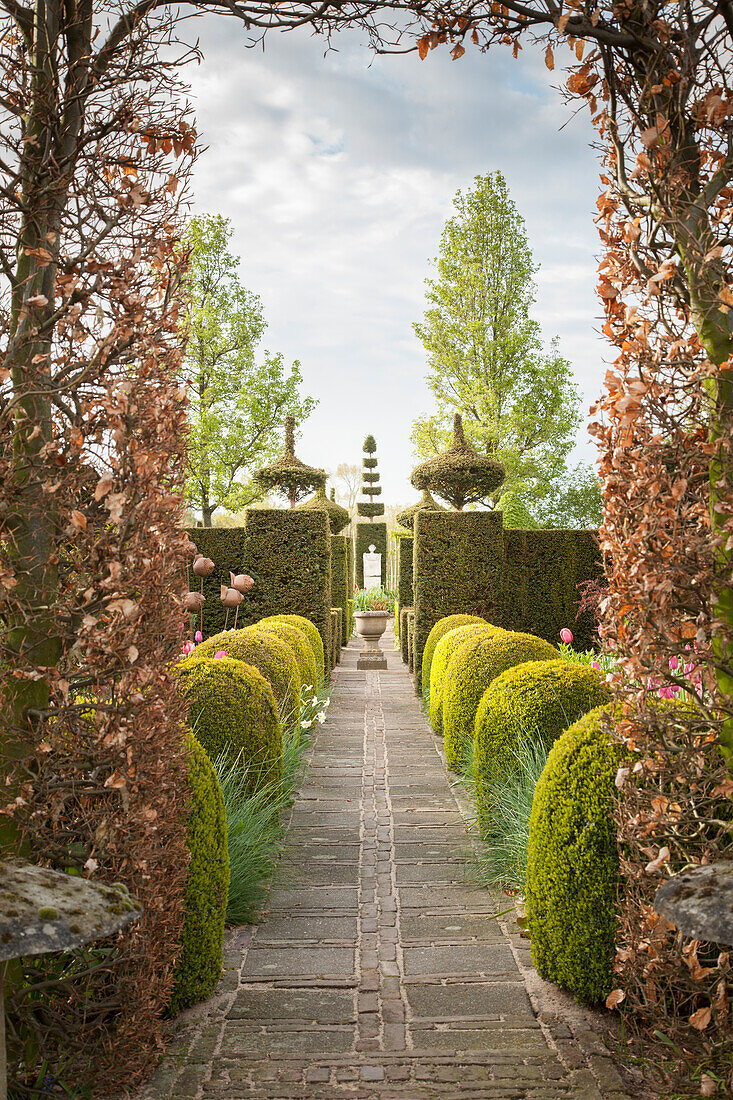 Garden path lined by geometrically clipped bushes and topiary