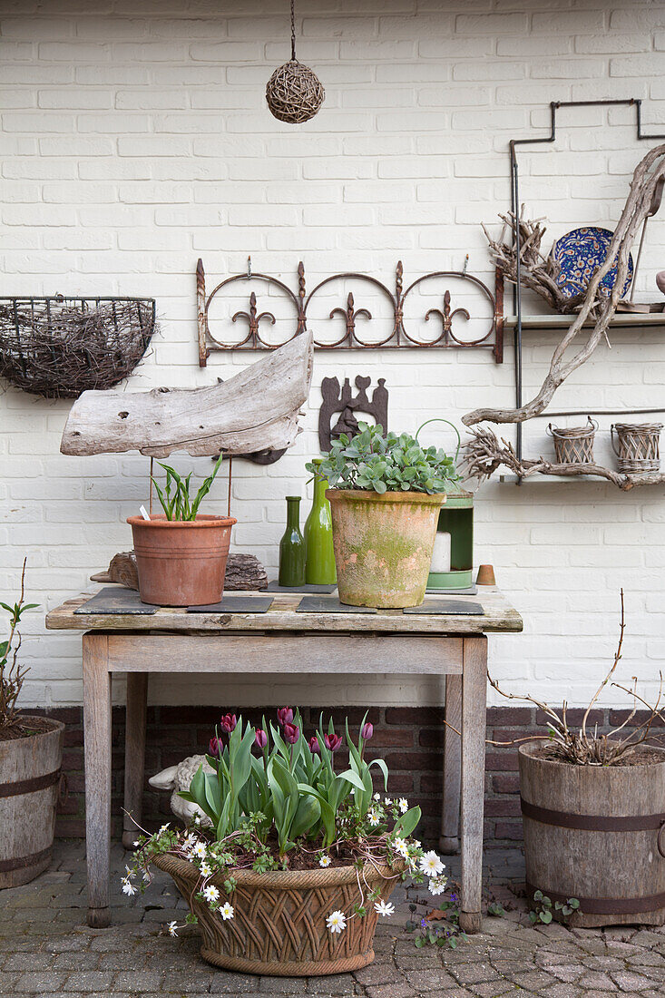 Planters on old table against white brick wall