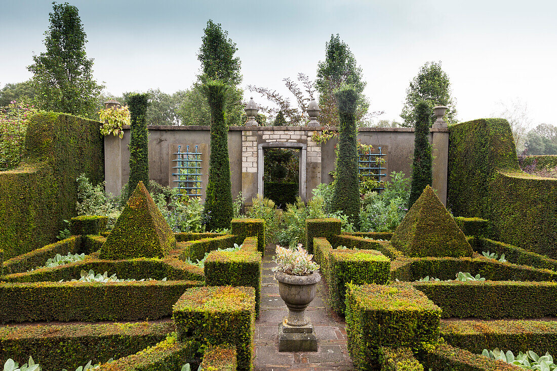Strictly clipped geometric forms and wall in topiary garden