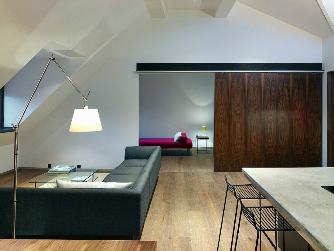 Open-plan interior with exotic-wood sliding door in minimalist designer style