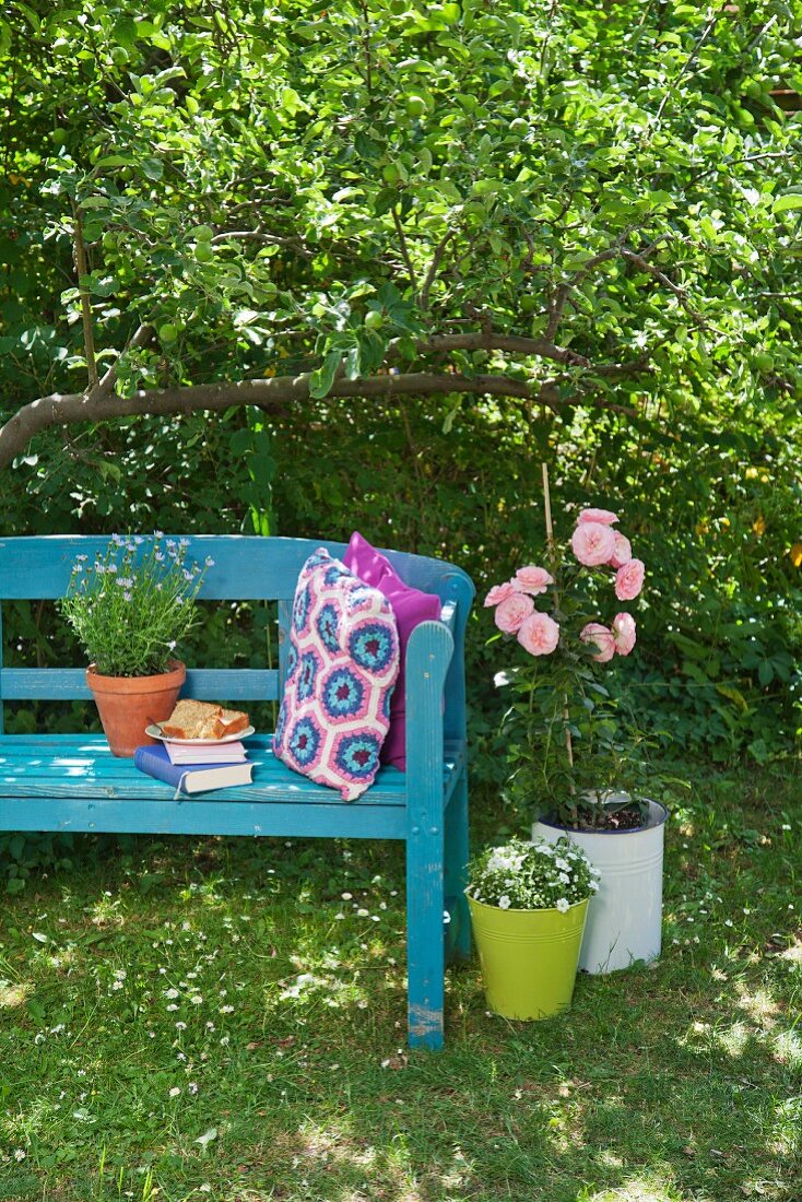 Crocheted cushions on blue-painted garden bench next to pink potted rose