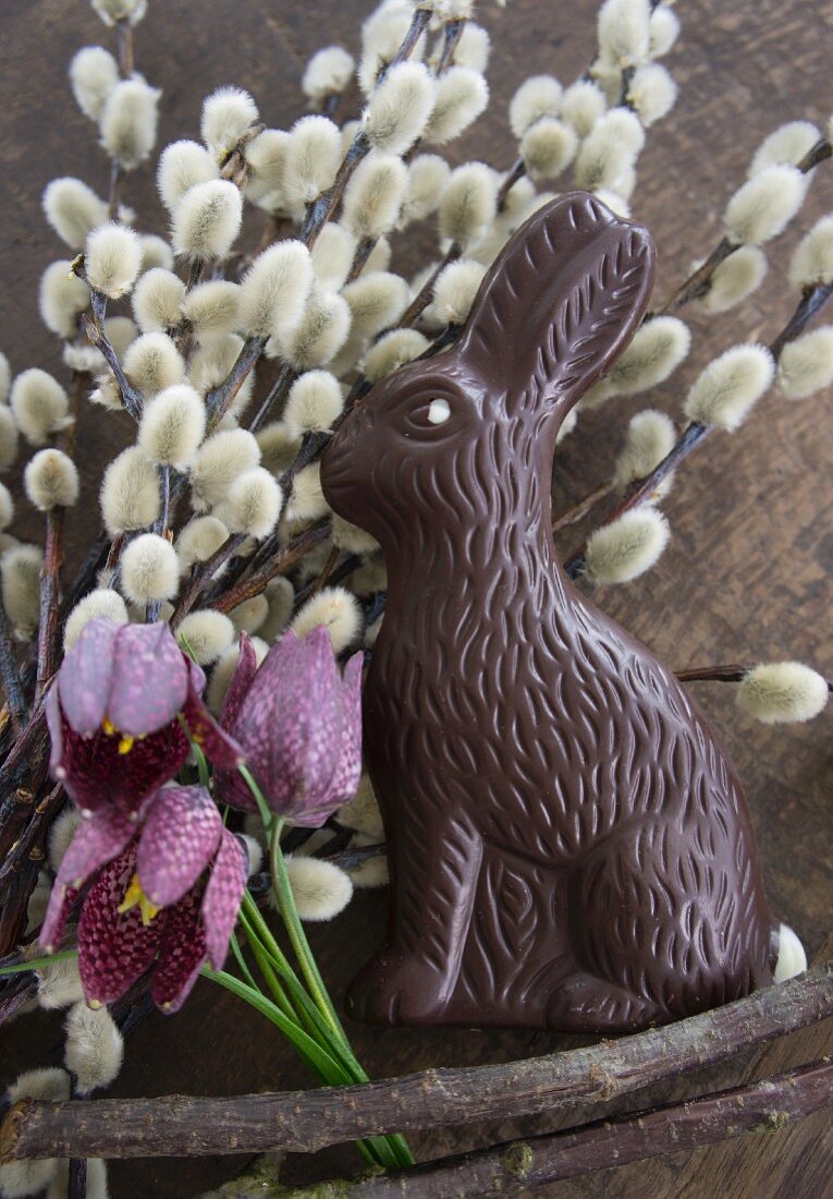 Willow catkins, chocolate Easter bunny and snake's head fritillaries