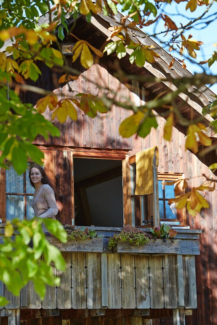Woman on gable-end balcony of wooden house; yellowing autumn chestnut leaves in foreground
