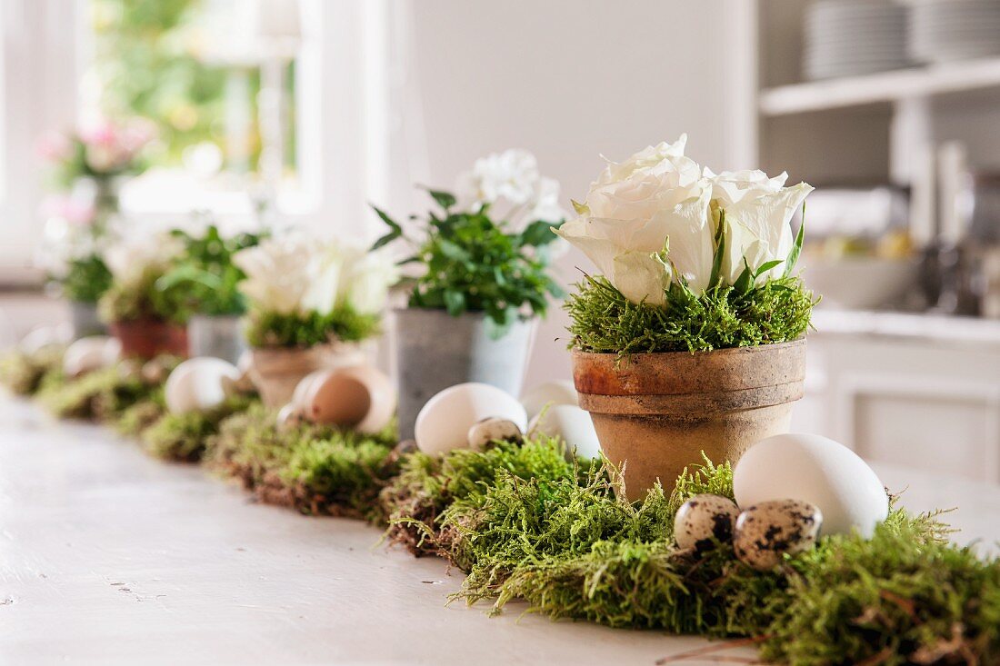 Osterdeko mit Eiern und Blumentöpfen auf Moos