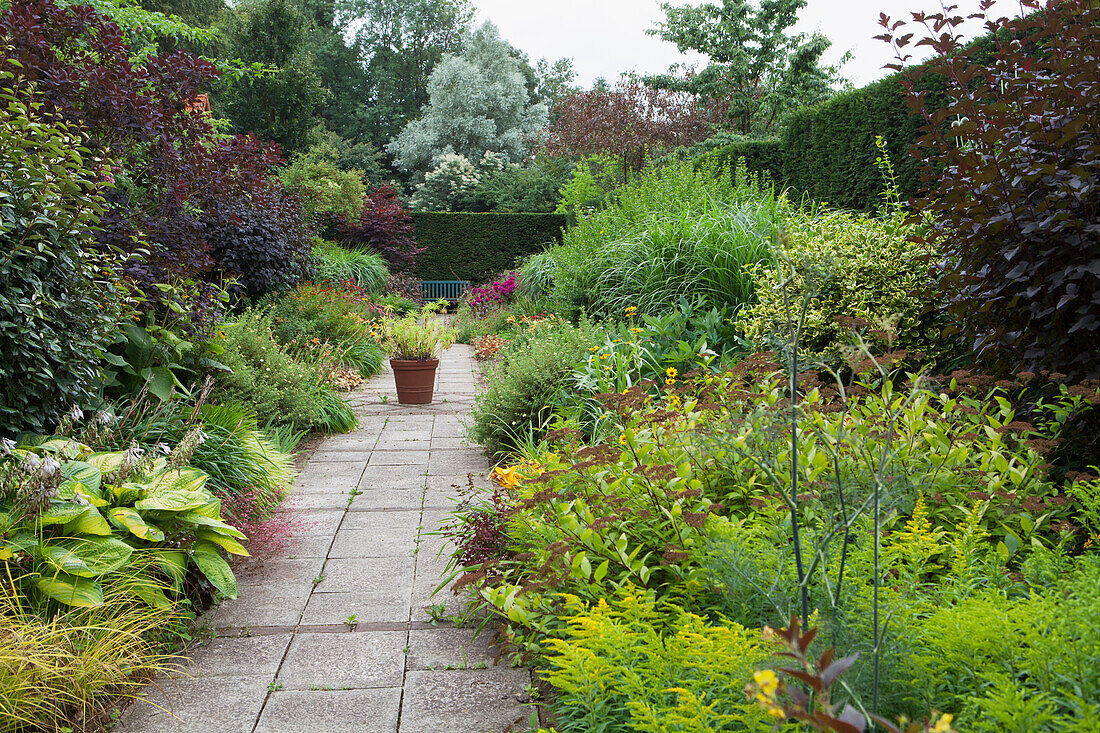 Stone-flagged garden path leading between flowering herbaceous borders in landscaped garden