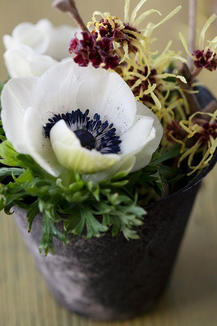 Posy of anemones and witch hazel flowers