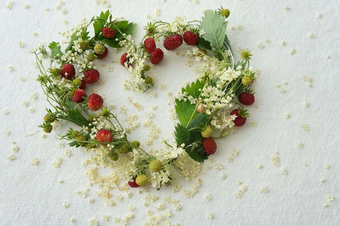 Herz aus Walderdbeeren und Holunderblüten