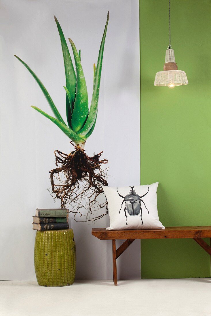 Fotokunst mit Aloemotiv, grüne Wand, auf Holzbank Kissen mit Käfermotiv
