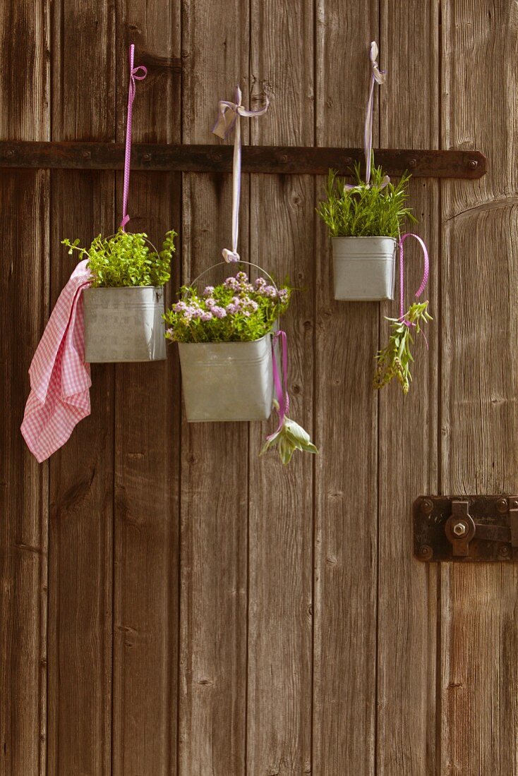 Various herbs in metal containers hung from rustic wooden doors from ribbons