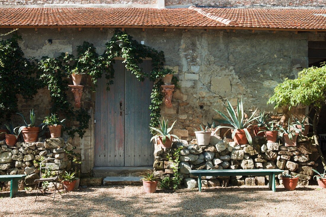 Potted agaves on half-height stone wall outside rustic stone house