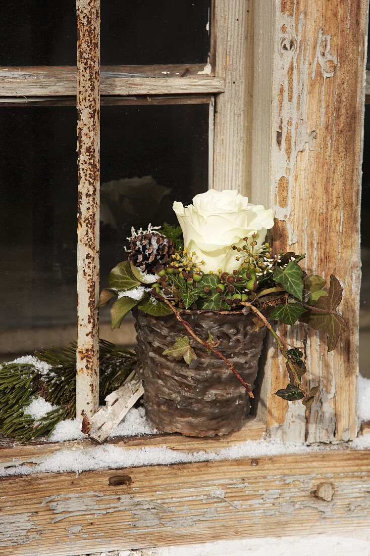 weiße Rose und Efeu in einem mit Wachs beträufelten Blumentopf