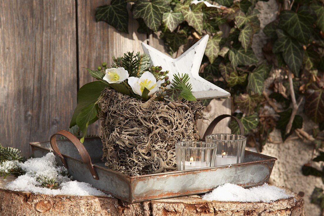 Plant pot wrapped in lichen on tin tray