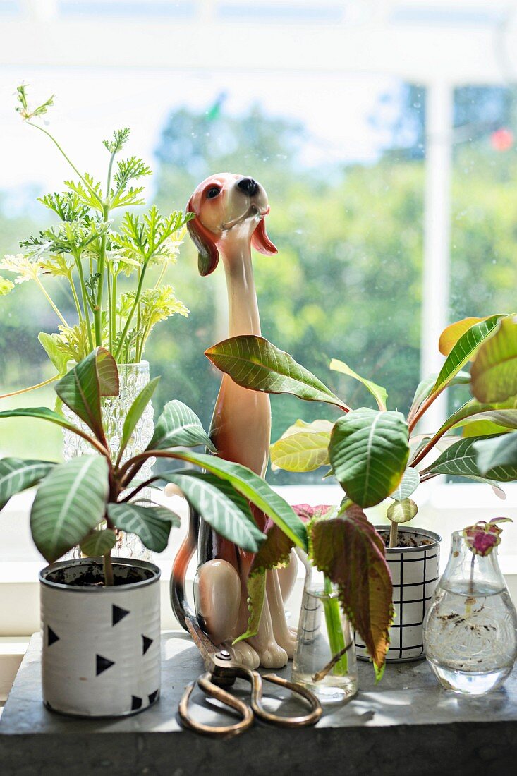 Porzellan Hundefigur und nostalgische Schere zwischen Grünpflanzen auf Fensterbank
