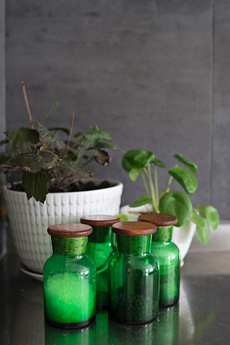 Green spice jars against grey wall