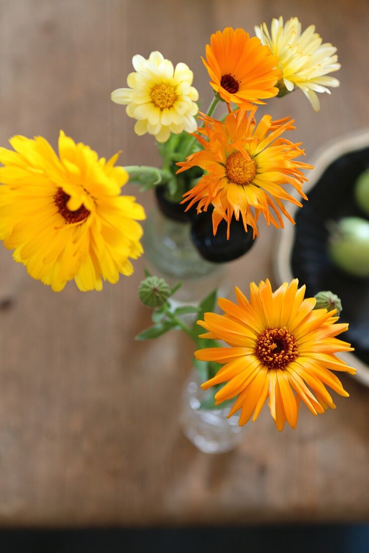 Yellow pot marigolds in glass vase on shabby-chic wooden table