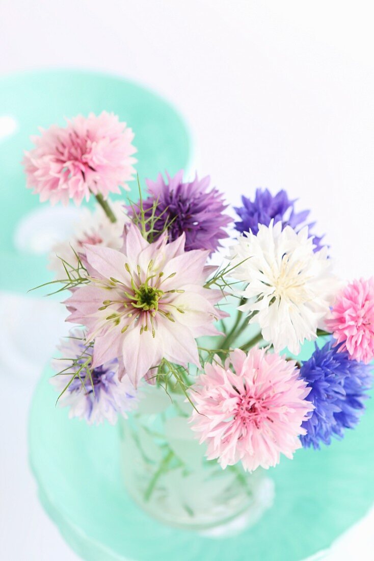 Pastel posy of cornflowers and love-in-a-mist