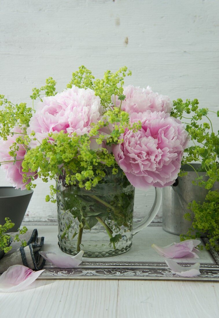 Peonies and lady's mantle in glass jug