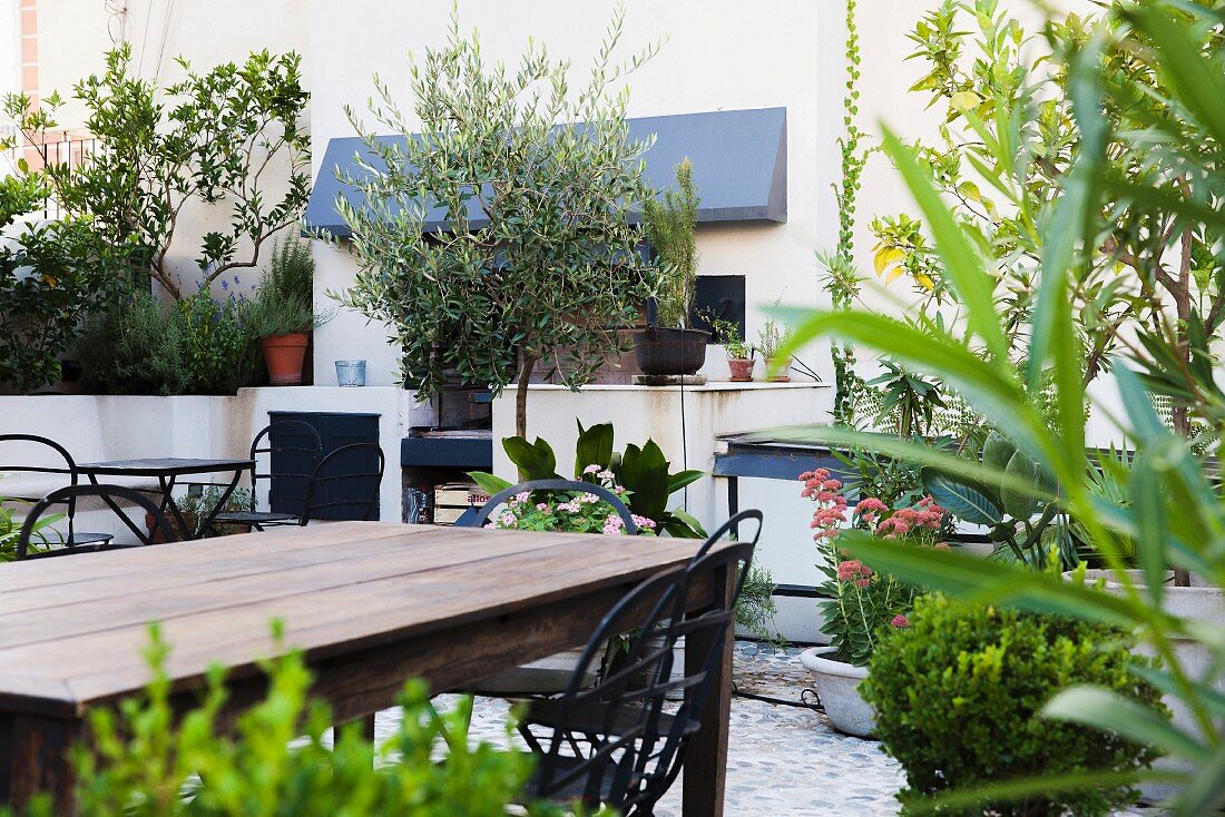 Gartenmöbel und Pflanzen auf Hotelterrasse