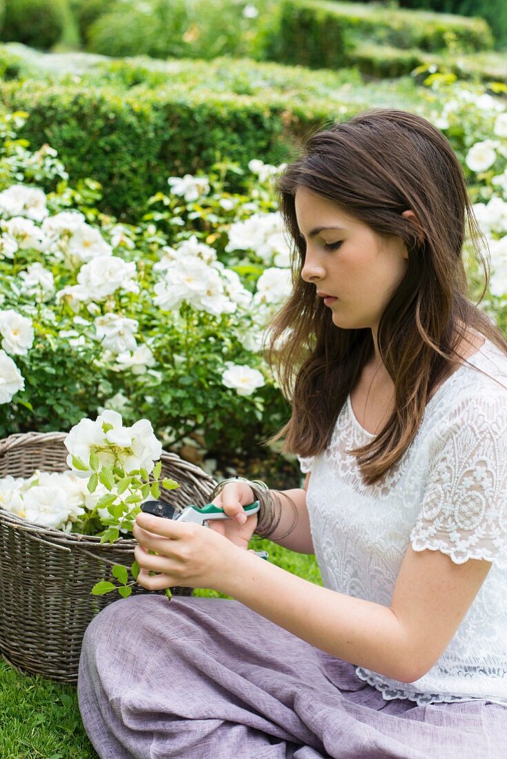 Mädchen schneidet weiße Rosen im Garten