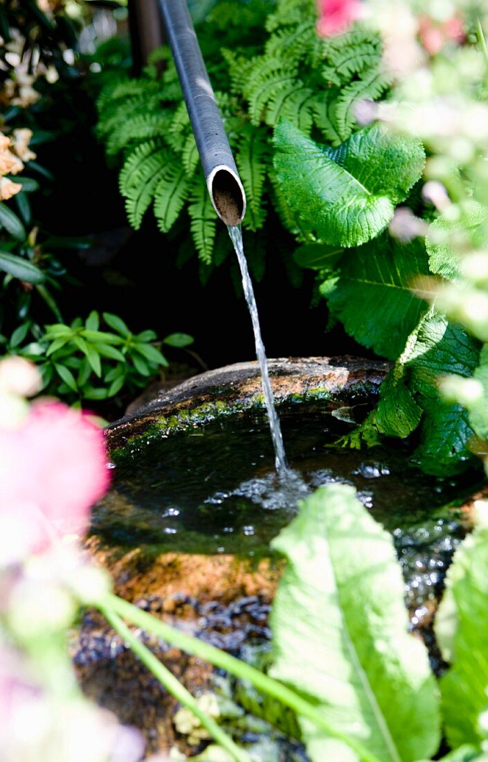 Wasserrohr mit Wasserstrahl über bemoostem Steinbecken im Garten