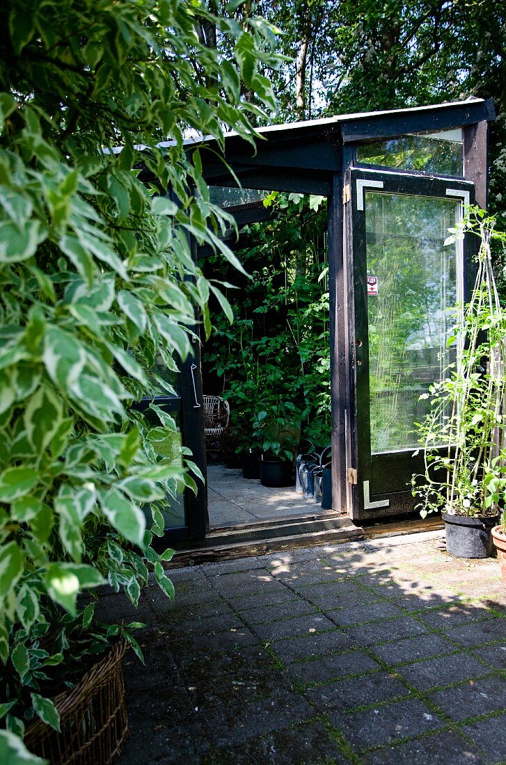 Gewächshaus mit offener Fenstertür und Blick auf Kübelpflanzen