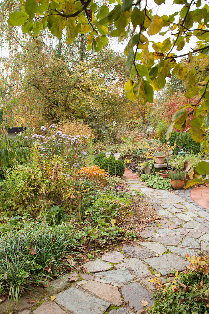 Stone-flagged path leading through herbaceous borders in autumnal garden