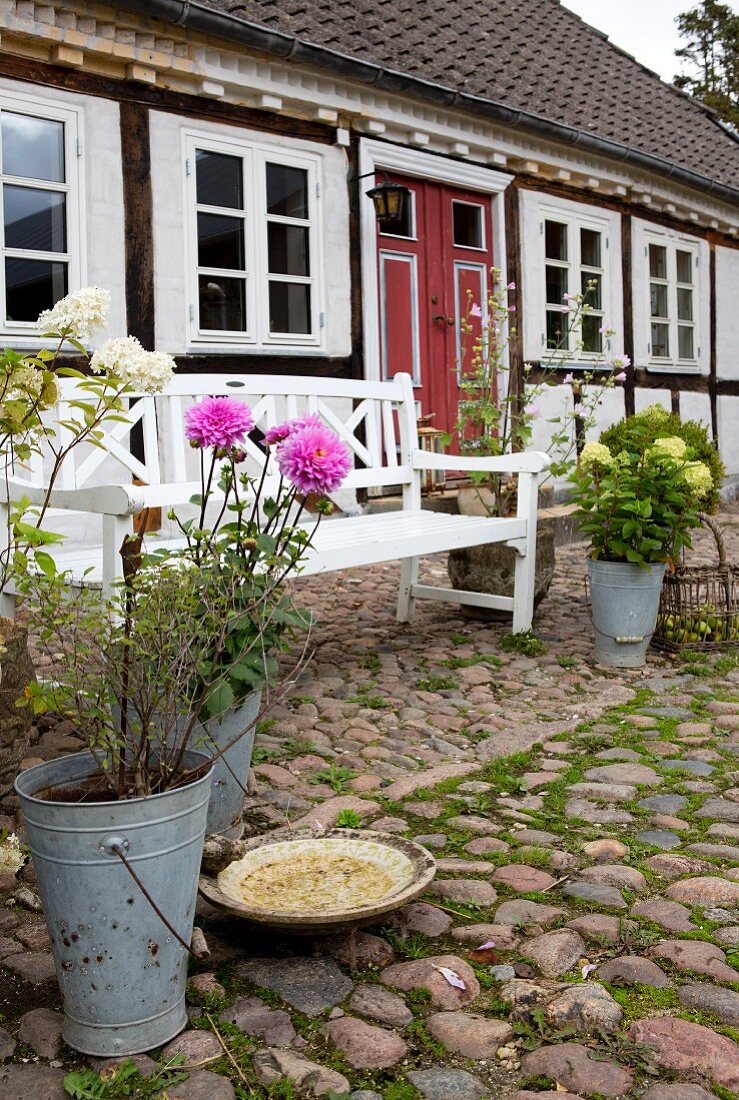 Zinc bucket of dahlias and bird bath on cobbles in front of white-painted garden bench and half-timbered house