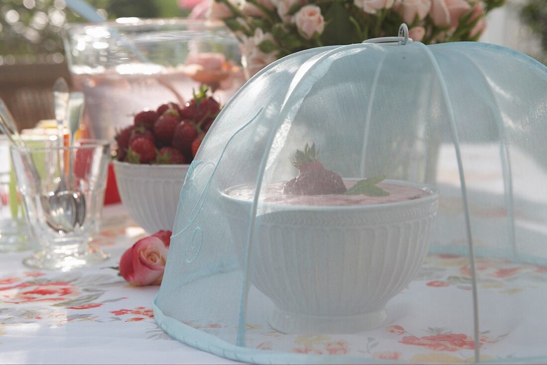 Strawberries and quark under mesh cover on set table