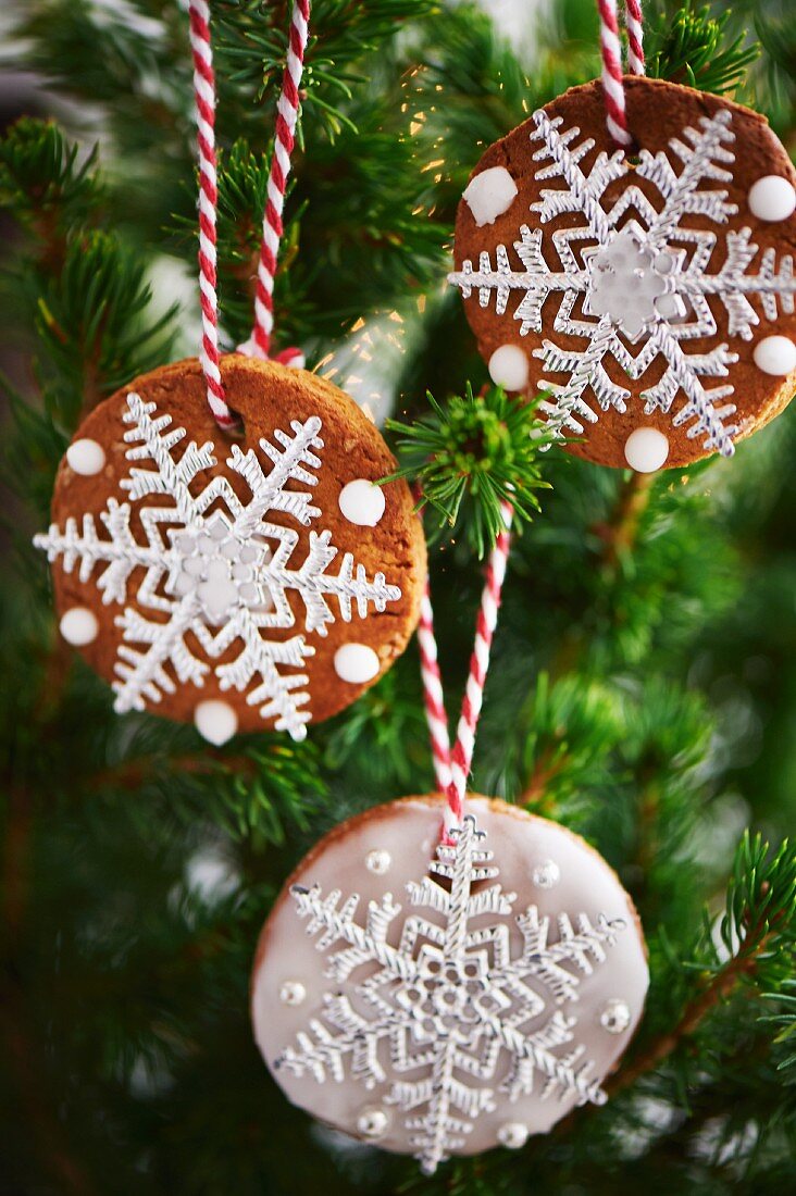 Festive biscuits decorating Christmas tree