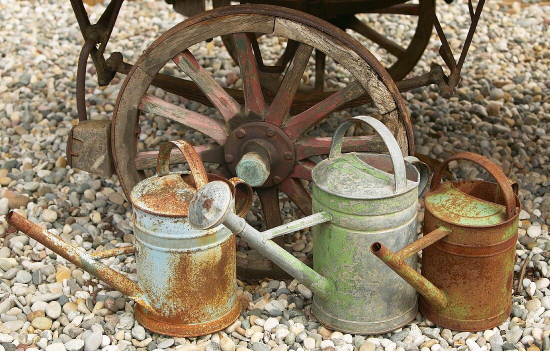 Three old watering cans on front of wooden cart