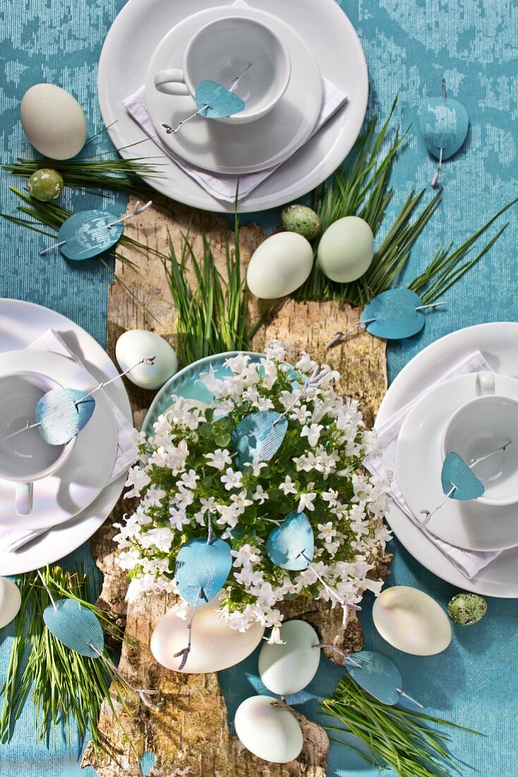 Easter table set with birch bark and blades of grass on blue wallpaper