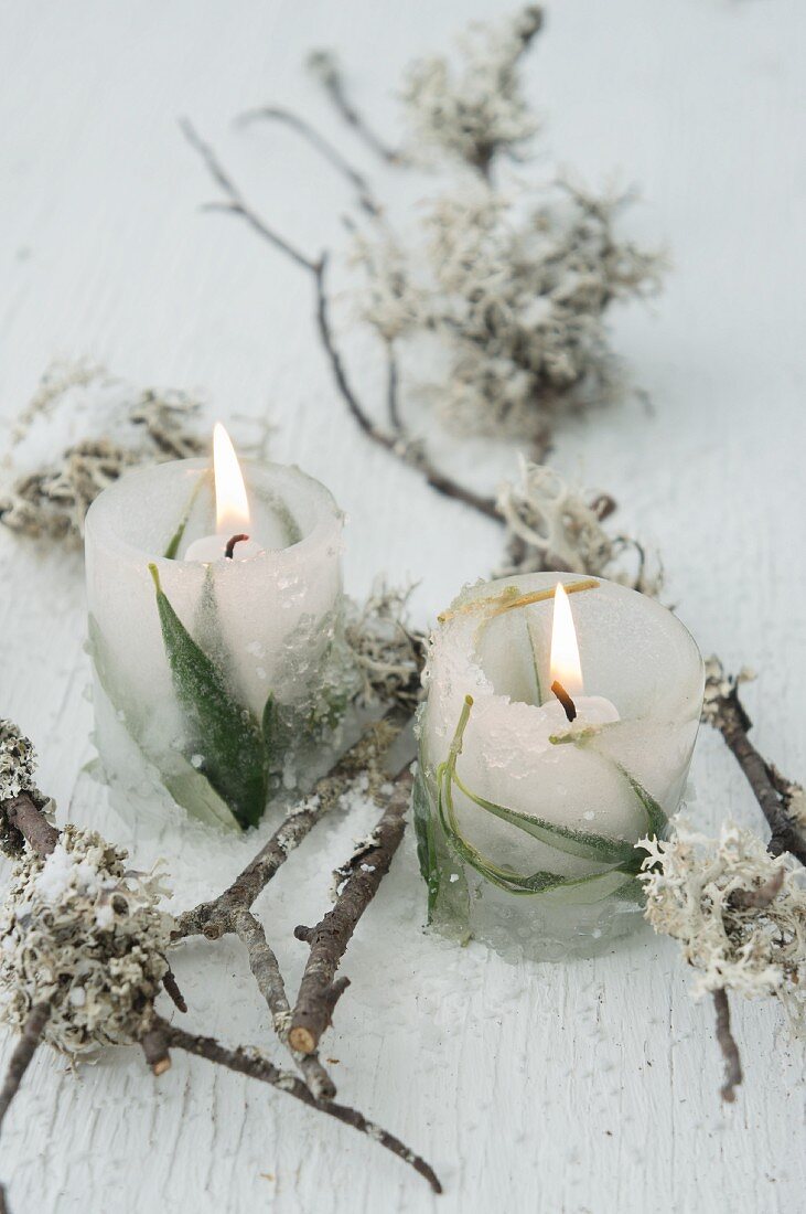 Ice candle lanterns with leaves frozen in amongst lichen-covered twigs