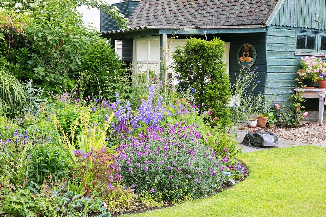 Various flowering perennials in flowerbed in front of summerhouse and robotic lawnmower in summery garden