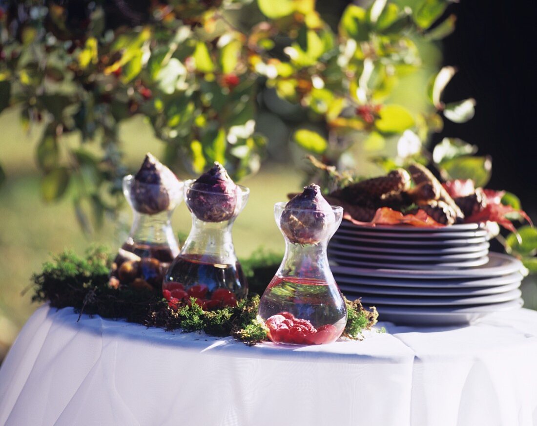 Herbstlicher Tisch im Freien mit Tellern und Naturdeko